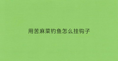 用苦麻菜钓鱼怎么挂钩子(用苦麻菜钓鱼怎么挂钩子视频)