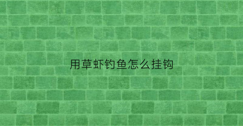 用草虾钓鱼怎么挂钩(钓草虾怎么钓)