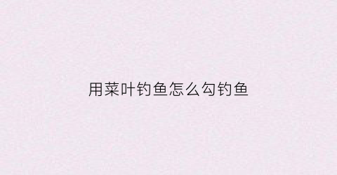 用菜叶钓鱼怎么勾钓鱼(菜叶钓鳊鱼)