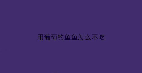 用葡萄钓鱼鱼怎么不吃(用葡萄钓鱼钓底还是钓浮)