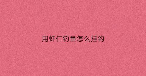 用虾仁钓鱼怎么挂钩(虾仁钓鱼怎么挂钩子)