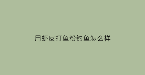 “用虾皮打鱼粉钓鱼怎么样(用虾皮打鱼粉钓鱼怎么样啊)