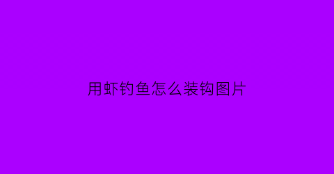 用虾钓鱼怎么装钩图片(用虾钓鱼怎么装钩图片教程)