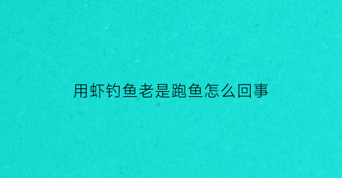 用虾钓鱼老是跑鱼怎么回事(为什么钓虾)