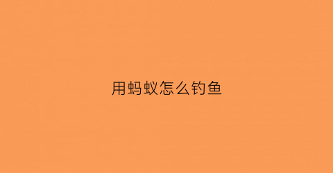 用蚂蚁怎么钓鱼