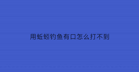 用蚯蚓钓鱼有口怎么打不到(用蚯蚓钓鱼没口怎么办)