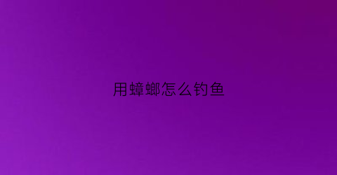 用蟑螂怎么钓鱼