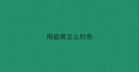 用超黄怎么钓鱼(用什么钓黄鱼)