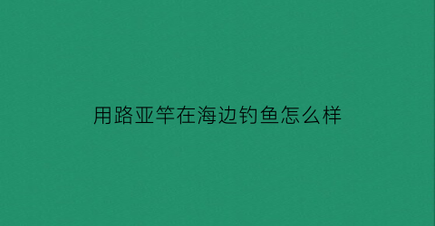 用路亚竿在海边钓鱼怎么样(海边玩路亚)