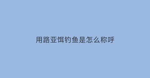 “用路亚饵钓鱼是怎么称呼(路亚鱼饵叫什么)