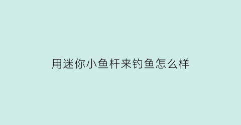 “用迷你小鱼杆来钓鱼怎么样(用迷你小鱼杆来钓鱼怎么样啊)