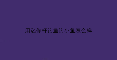 用迷你杆钓鱼钓小鱼怎么样