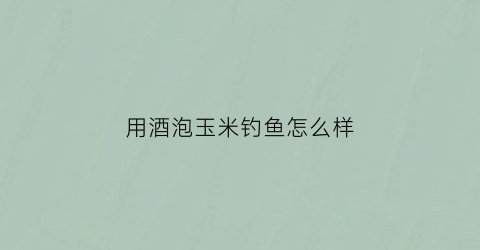 用酒泡玉米钓鱼怎么样(拿酒泡玉米还加什么钓鱼比较好)