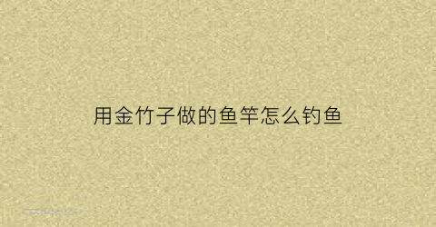 用金竹子做的鱼竿怎么钓鱼(用金竹子做的鱼竿怎么钓鱼好)
