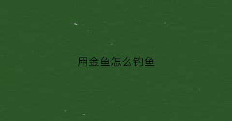 用金鱼怎么钓鱼