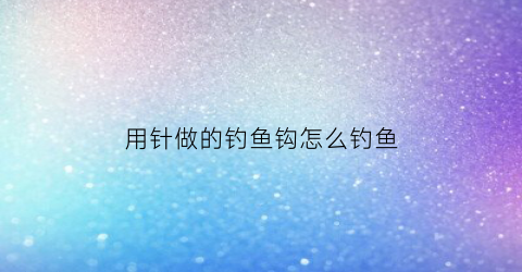 用针做的钓鱼钩怎么钓鱼(用针做的钓鱼钩怎么钓鱼视频)