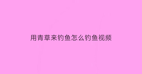 “用青草来钓鱼怎么钓鱼视频(用青草来钓鱼怎么钓鱼视频教程)