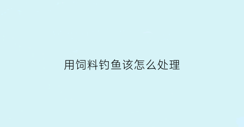 “用饲料钓鱼该怎么处理(鱼饲料野钓)