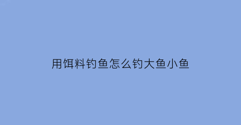 用饵料钓鱼怎么钓大鱼小鱼(用饵料钓鱼怎么钓大鱼小鱼呢)