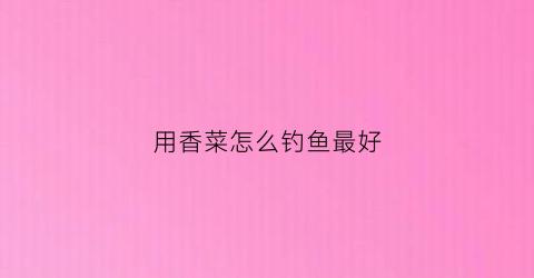 用香菜怎么钓鱼最好(用香菜怎么钓鱼最好用)