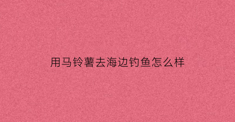 用马铃薯去海边钓鱼怎么样(马铃薯可以钓鲤鱼吗)