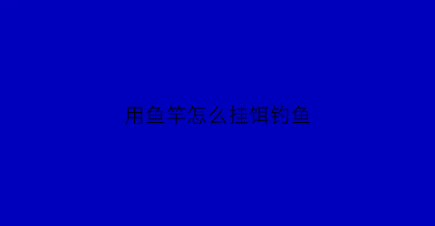 用鱼竿怎么挂饵钓鱼(用鱼竿怎么挂饵钓鱼呢)