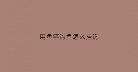 用鱼竿钓鱼怎么挂钩(用鱼竿钓鱼怎么挂钩图解)