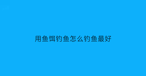 “用鱼饵钓鱼怎么钓鱼最好(鱼饵教程)