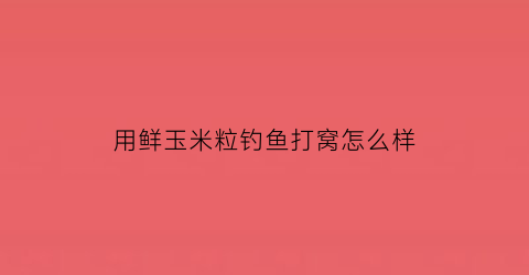 用鲜玉米粒钓鱼打窝怎么样(新鲜玉米粒钓鱼要怎么做好钓鱼)