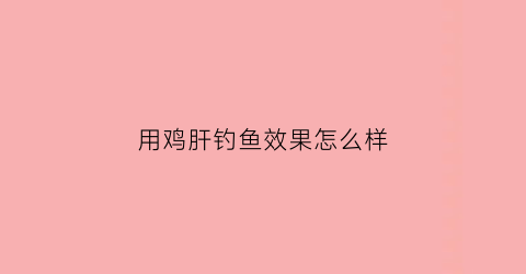 “用鸡肝钓鱼效果怎么样(用鸡肝钓鱼可以钓到什么鱼)