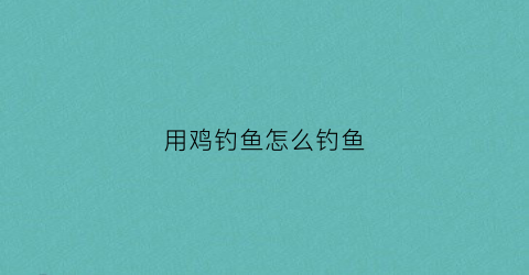 用鸡钓鱼怎么钓鱼