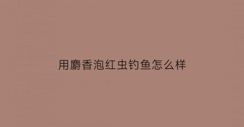 用麝香泡红虫钓鱼怎么样(麝香味窝料和红虫味窝料哪个好)