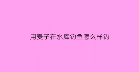 用麦子在水库钓鱼怎么样钓(用麦子钓鱼怎样打窝)
