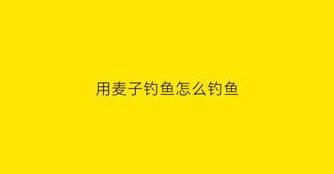 用麦子钓鱼怎么钓鱼(麦子钓鱼怎么样鱼口怎么样)