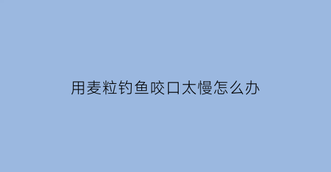 用麦粒钓鱼咬口太慢怎么办(用麦粒钓什么鱼)