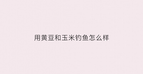 用黄豆和玉米钓鱼怎么样(玉米黄豆粉钓鱼)