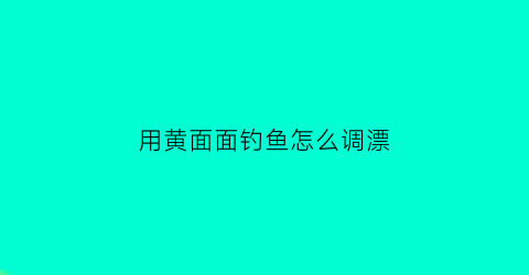 “用黄面面钓鱼怎么调漂(野钓黄面面使用方法)