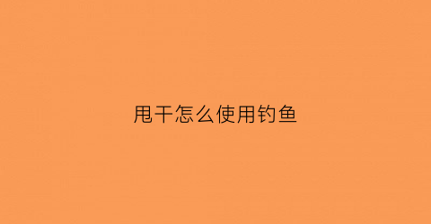 甩干怎么使用钓鱼(甩干怎么钓鱼全视频)