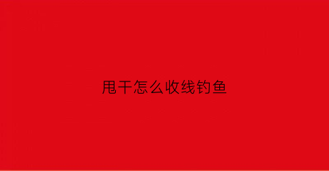 甩干怎么收线钓鱼(甩干怎么钓鱼视频教程)