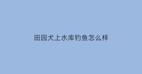 田园犬上水库钓鱼怎么样(田园犬需要遛吗)