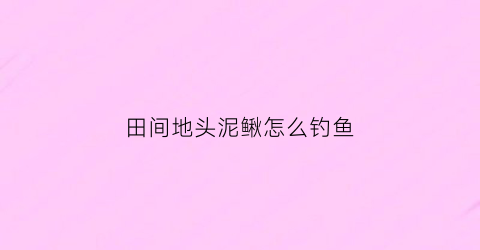 田间地头泥鳅怎么钓鱼(田里面的泥鳅)