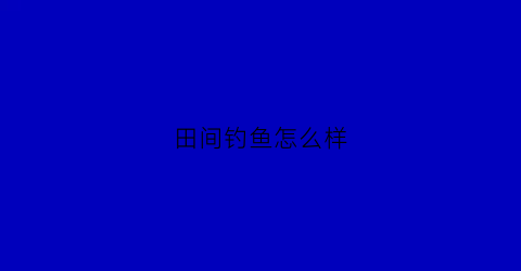田间钓鱼怎么样(田里的鱼怎么钓)