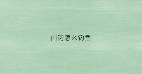 由钩怎么钓鱼(钩子钓鱼怎么玩)