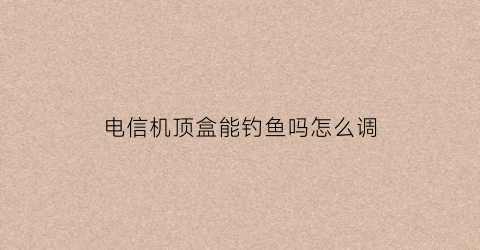 电信机顶盒能钓鱼吗怎么调(电信机顶盒可以用wifi吗)
