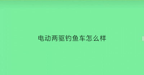 电动两驱钓鱼车怎么样(电动两驱钓鱼车怎么样好用吗)
