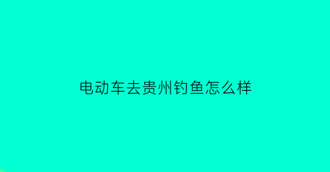 “电动车去贵州钓鱼怎么样(贵州钓鱼环境比较好的地方)