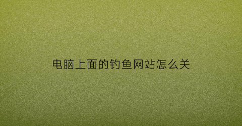 电脑上面的钓鱼网站怎么关(电脑点了钓鱼网站)