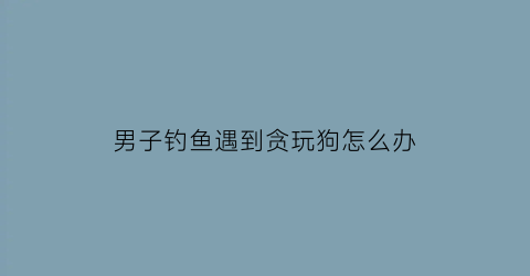 “男子钓鱼遇到贪玩狗怎么办(男子钓鱼遇到庞然大物)