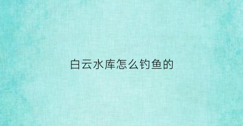 白云水库怎么钓鱼的(白云水库一日游攻略)