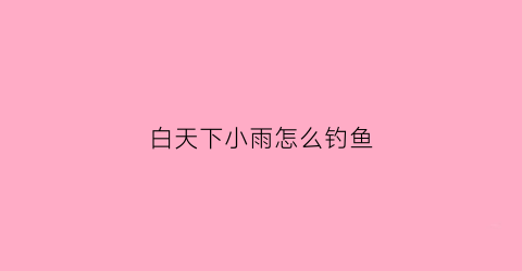 白天下小雨怎么钓鱼(白天下雨晚上钓鱼好吗)